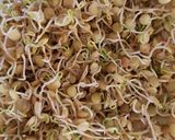 A picture of step 4 of Sprouted Lentil Salad.