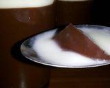 Foto langkah ke 8 dari resep Puding coklat lezaaaat.