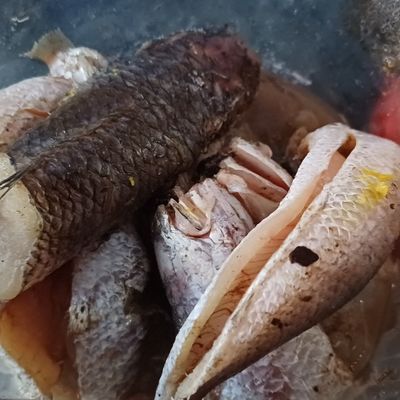 Langkah 1