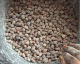 A picture of step 4 of Peanut.
