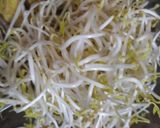 સ્થિર-ફ્રાય બીન સ્પ્રોઉટ્સ વિથ તોફુ(Stir-fry Bean Sprouts with Tofu) રેસીપી સ્ટેપ3ફોટો