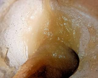 Es cendol Dawet warna warni - Step 3