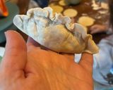 Foto del passaggio 5 della ricetta Ravioli orientali all’italiana