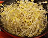 泡菜豆芽炒豬肉 娜娜媽的食譜步驟3照片