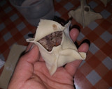 Foto del paso 2 de la receta: Empanadas árabes👳‍♂️👳‍♀️😁