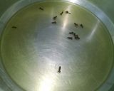 A picture of step 4 of Mutton Dehli Biryani (Plain).