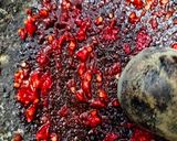 Foto langkah ke 8 dari resep Sambel Plecing Kangkung Khas Lombok.