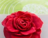 A picture of step 8 of Two-style fondant rose.