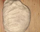 Foto del paso 5 de la receta: Pan rústico natural