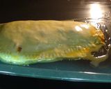 Foto del paso 3 de la receta Empanadilla de atún y tomate