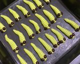 Foto langkah ke 4 dari resep Kue kering ulat hijau (cookies).