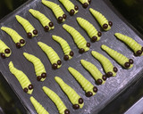 Foto langkah ke 4 dari resep Kue kering ulat hijau (cookies).