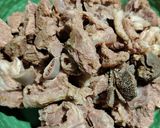 Foto langkah ke 1 dari resep Tongseng Daging Domba.