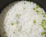 A picture of step 8 of White Rice.