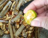 Gambar langkah 3 resipi Ambal/Pepahat/Siput Buluh Masak Berlada.