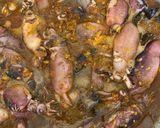 Foto langkah ke 3 dari resep Cumi Hitam Pedas.