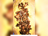 Homemade Sardines Stuffed Bread
