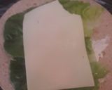 Foto del paso 4 de la receta: Wrap de Salmón