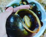 Hình bước làm 3 của món Ốc bươu nướng tiêu xay