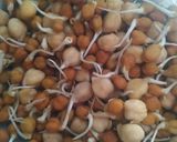 A picture of step 1 of Chinese fried Sprouts.