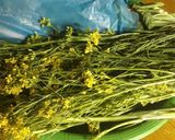 Foto langkah ke 1 dari resep Tumis Kembang Sawi.