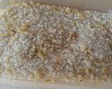 Vickys Cornmeal Cookies w Cinnamon Lemon Sugar, GF DF EF SF NF recipe step 7 photo