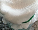 Foto del paso 4 de la receta: Aceite al ajo y pimentón picante