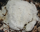 Foto del paso 4 de la receta: Milanesa de berenjena rellena