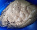 Foto del paso 4 de la receta: Galletitas de Jengibre