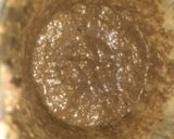 A picture of step 9 of Black chicken masala.