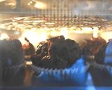 雙倍巧克力瑪芬的食譜步驟8照片