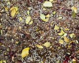 A picture of step 9 of Dates and oats barfi.