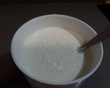 Foto del paso 2 de la receta Yogur griego casero