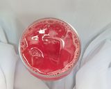 A picture of step 4 of WaterMelon Cooler.