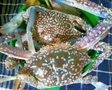Foto langkah ke 1 dari resep Rajungan Masak Kare.