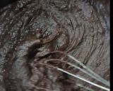 Foto langkah ke 6 dari resep Pine Cone Pumpkin Brownies.