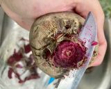 A picture of step 1 of Borscht!.