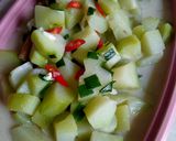 Foto langkah ke 5 dari resep Santan Labu Siam.