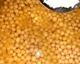 A picture of step 1 of Indian snack (crisp sphere with flavoured water/curd mixture).
