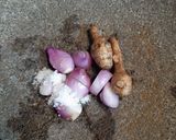 Foto langkah ke 1 dari resep Sayur Bening Kunci.