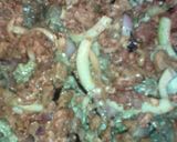 Foto del paso 2 de la receta: TACOS DE DISCADA MMMM #diadeltacocookpad