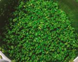 તિરંગા મુખવાસ (Tiranga Mukhwas Recipe In Gujarati) રેસીપી સ્ટેપ5ફોટો
