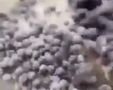 A picture of step 3 of Ruby grape cobbler 🍇.
