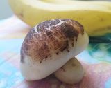 Hình bước làm 9 của món Bánh bao hình nấm