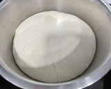 Foto del paso 6 de la receta Pizza Napolitana (en piedra de horno) con Thermomix