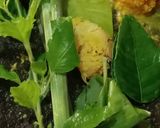 Foto langkah ke 2 dari resep Gulai Kuning Ikan Tongkol.