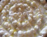 Foto del paso 6 de la receta: Pie de limón 🍋