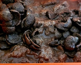 Foto del paso 3 de la receta: Capricho de cacao para el desayuno