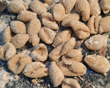 Foto del paso 5 de la receta: Ñoquis de harina integral