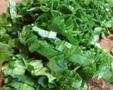 Foto del paso 1 de la receta: Ensalada de radicheta/achicoria con ajo y huevo